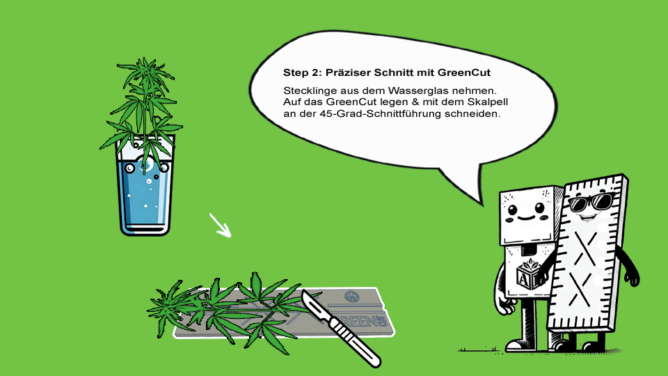 Anleitung-GreenCut-2