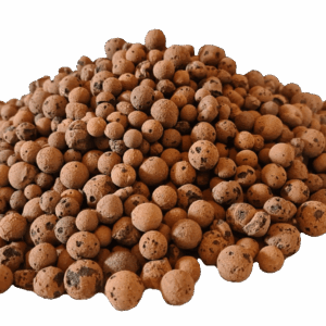 Blähton