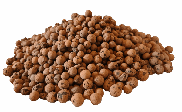Blähton