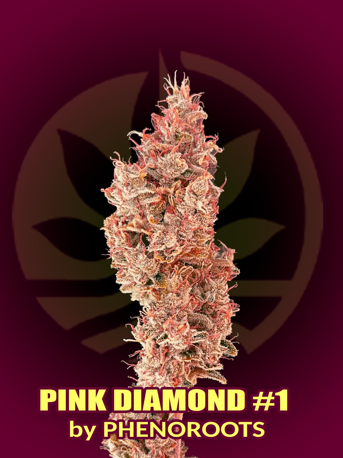 Pink Diamond #1 by Phenoroots